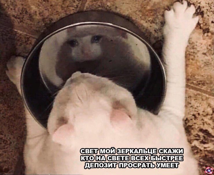 Ох уж эти сливы: биткоин летит вниз, депозит стремится к нулю