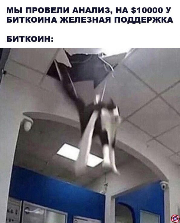 Фаза отчаяния и нервный смех: история биткоин-Джокера