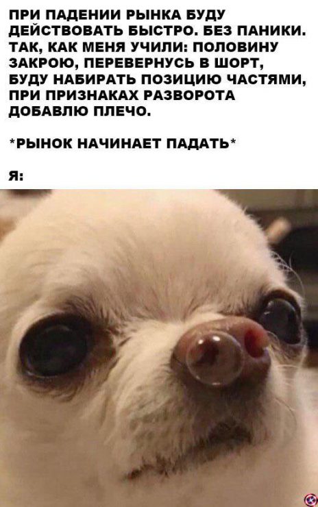 Фаза отчаяния и нервный смех: история биткоин-Джокера