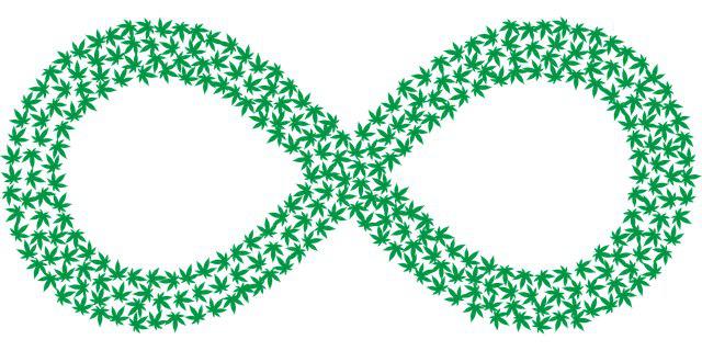 В Уругвае задействуют блокчейн aeternity для отслеживания поставок каннабиса