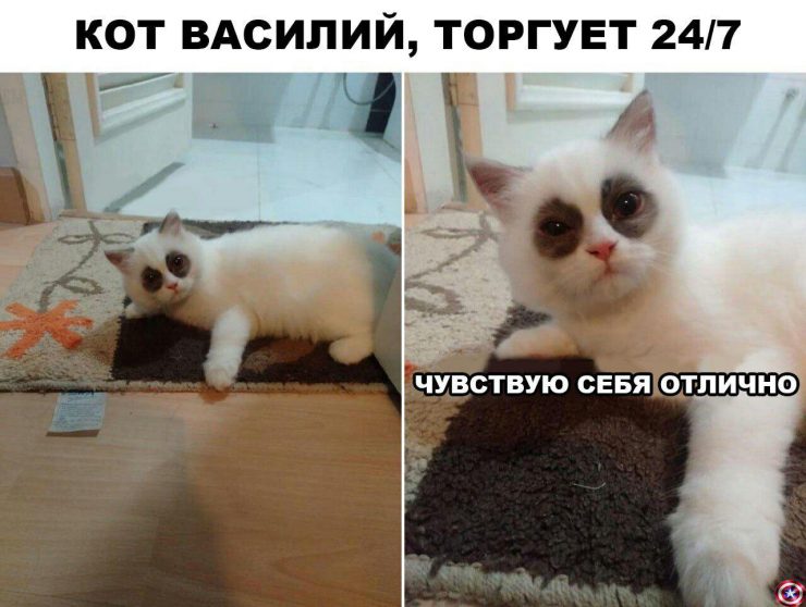 Фаза отчаяния и нервный смех: история биткоин-Джокера