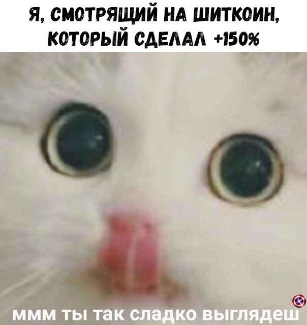 Фаза отчаяния и нервный смех: история биткоин-Джокера