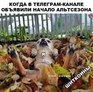 Семейная жизнь криптотрейдера: любовь, разочарование, надежда и боль