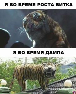 Семейная жизнь криптотрейдера: любовь, разочарование, надежда и боль