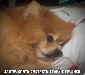 Семейная жизнь криптотрейдера: любовь, разочарование, надежда и боль