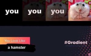 «Сними костюм хомяка, Хеллоуин уже прошел! А, ты просто криптотрейдер» и другие истории