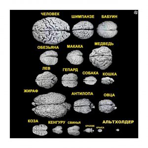 «Сними костюм хомяка, Хеллоуин уже прошел! А, ты просто криптотрейдер» и другие истории
