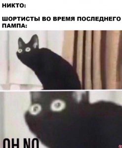 «Сними костюм хомяка, Хеллоуин уже прошел! А, ты просто криптотрейдер» и другие истории