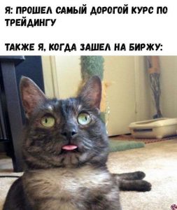 Памп, дамп, ликвидация: азы криптотрейдинга для неудачников