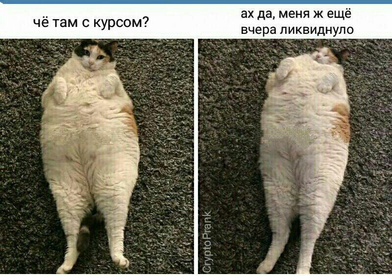 Не застрял в шитках, а нашел зону комфорта: правдивые субботние мемы