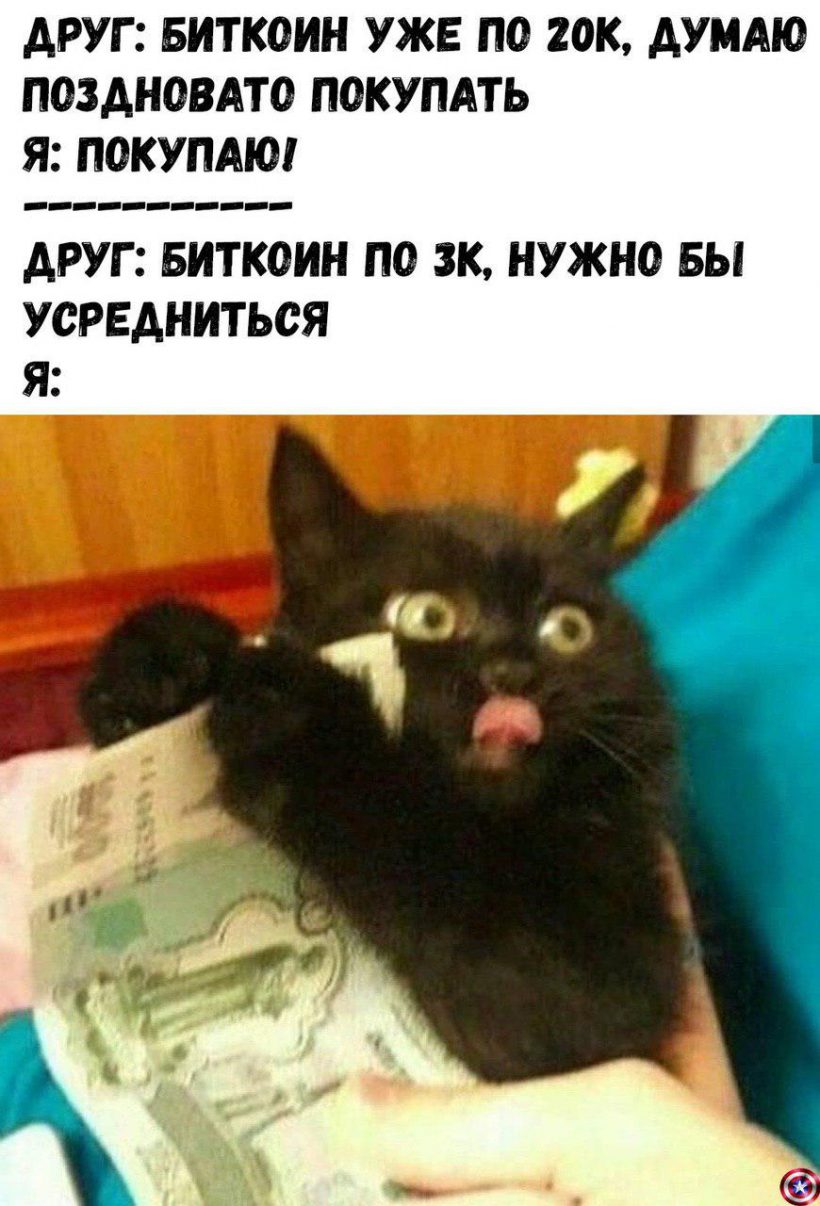 Не застрял в шитках, а нашел зону комфорта: правдивые субботние мемы