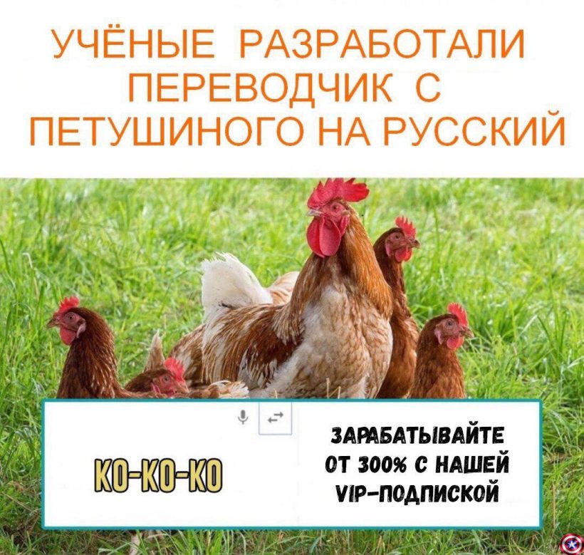 Не застрял в шитках, а нашел зону комфорта: правдивые субботние мемы