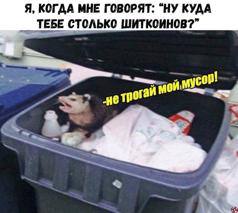 Не застрял в шитках, а нашел зону комфорта: правдивые субботние мемы