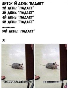 Я видел некоторое дерьмо: мемы о нашей с вами неделе