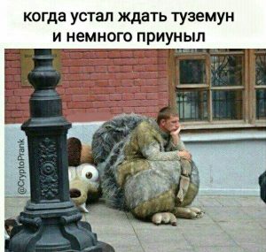 Я видел некоторое дерьмо: мемы о нашей с вами неделе