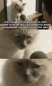 Каждый день плачу, пью и плохо сплю: как жили криптотрейдеры на этой неделе