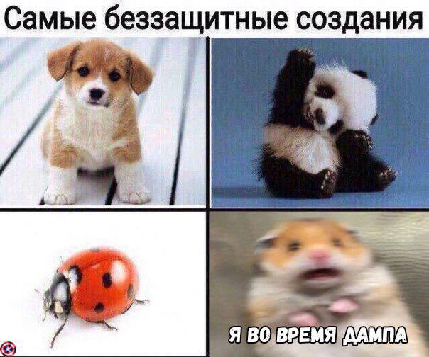 Злоключения трейдера Монеткина: ностальгические мемы про ушедший 2019 год