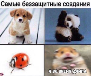 Каждый день плачу, пью и плохо сплю: как жили криптотрейдеры на этой неделе