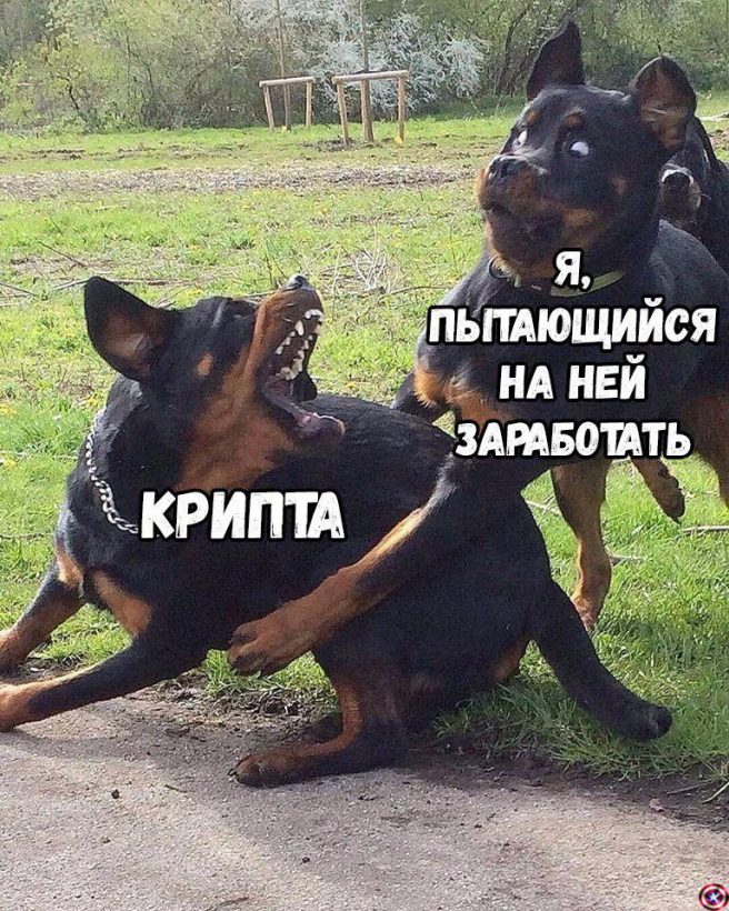 Призрак Monero и болт, который я клал на риск-менеджмент: последние мемы 2019 года