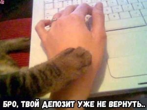 В новый год — с новыми альтами! Постпраздничный мем-обзор