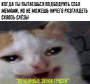 В новый год — с новыми альтами! Постпраздничный мем-обзор