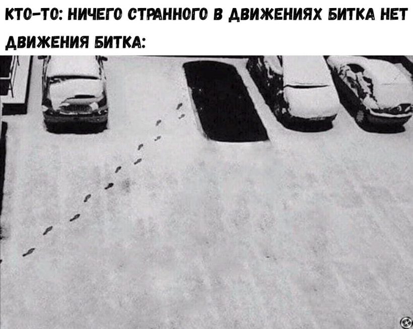 FOMO припирает к стенке: сезон растущего биткоина и нарастающей ярости