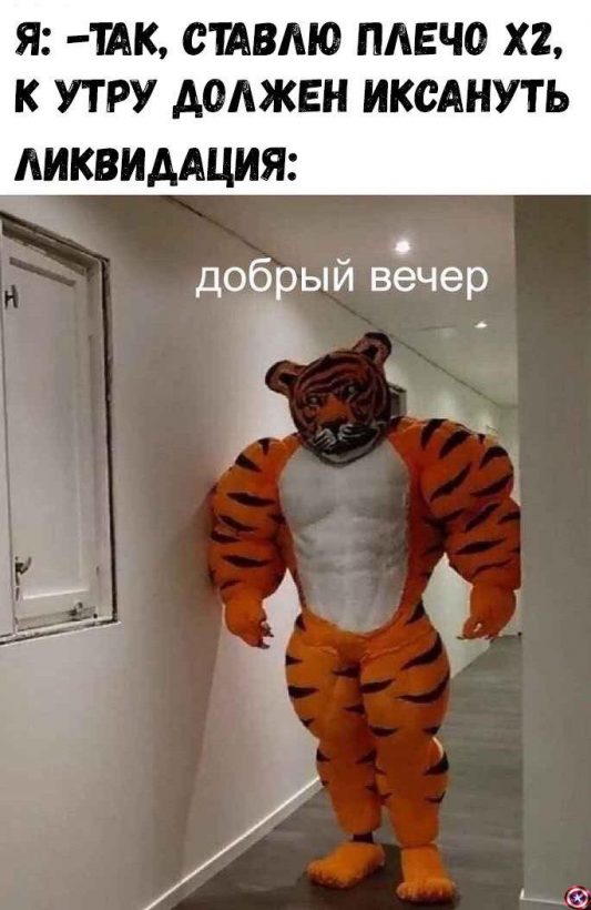 FOMO припирает к стенке: сезон растущего биткоина и нарастающей ярости