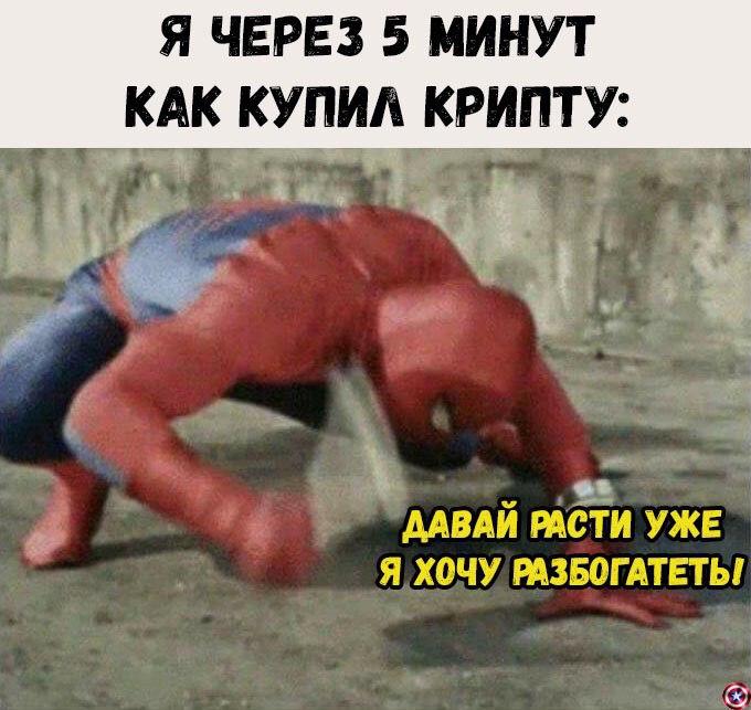 FOMO припирает к стенке: сезон растущего биткоина и нарастающей ярости