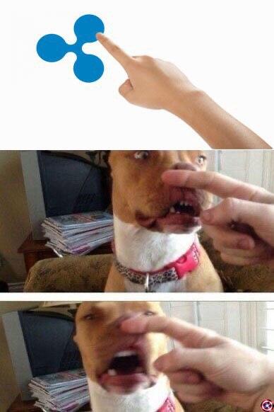 FOMO припирает к стенке: сезон растущего биткоина и нарастающей ярости