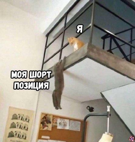 FOMO припирает к стенке: сезон растущего биткоина и нарастающей ярости