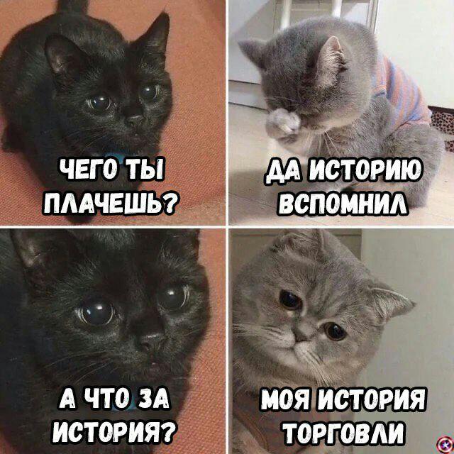 Dolly Parton Challenge: фото разные, дурак, сливший депозит, — один