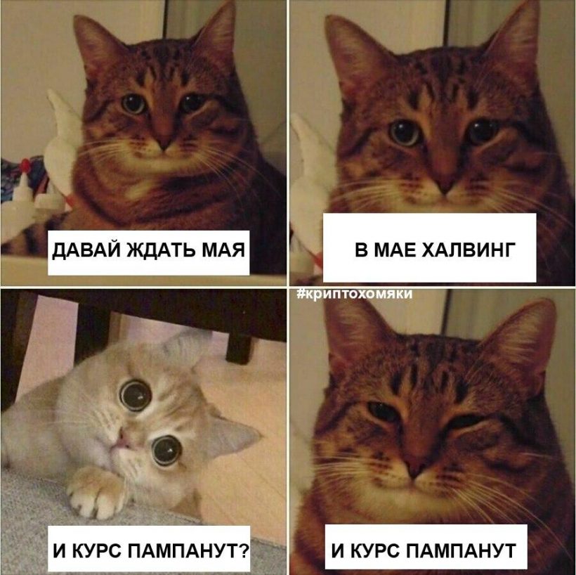 Dolly Parton Challenge: фото разные, дурак, сливший депозит, — один