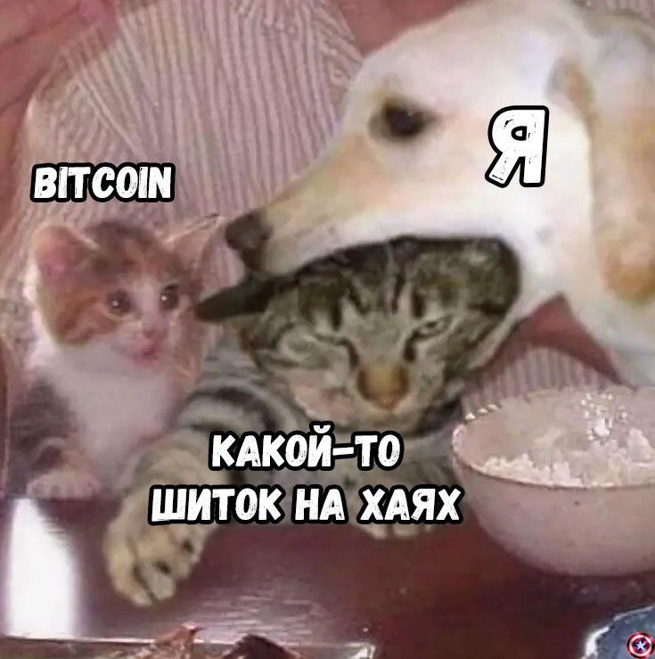 Dolly Parton Challenge: фото разные, дурак, сливший депозит, — один