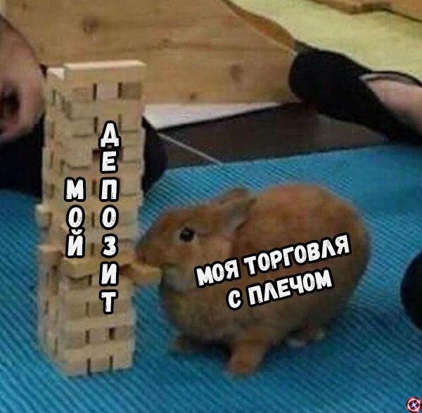 Dolly Parton Challenge: фото разные, дурак, сливший депозит, — один