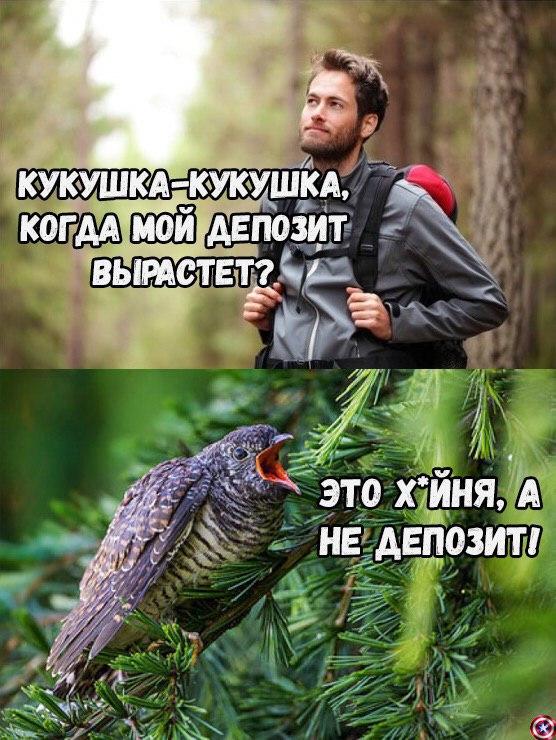 Dolly Parton Challenge: фото разные, дурак, сливший депозит, — один