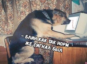 Тревожный взгляд на график в ожидании туземуна: мем-обзор недели