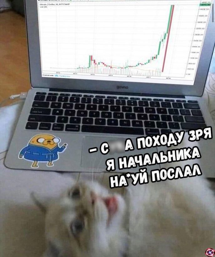 О, ракета — надо брать: внезапный памп битка без возможности закупиться