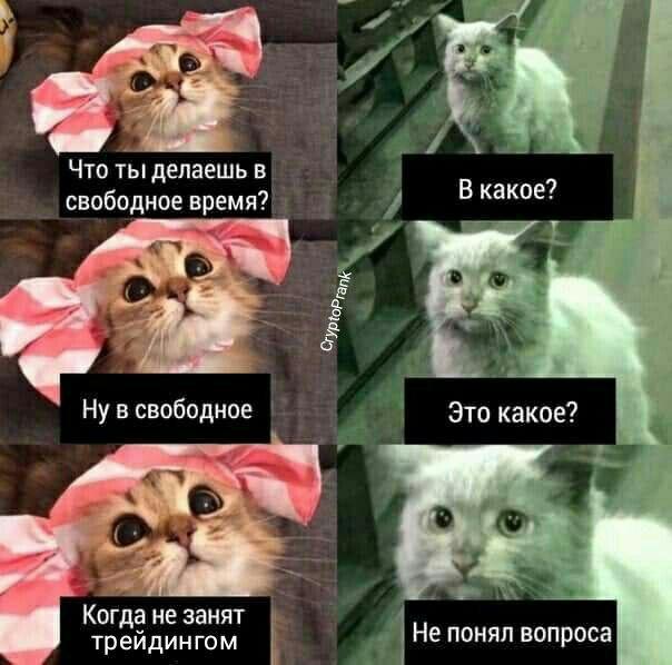 29 февраля: халвинг депозита и битва за биткоин на низах