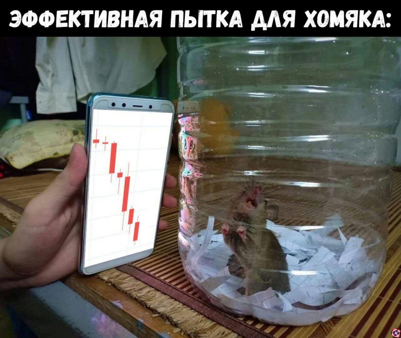 29 февраля: халвинг депозита и битва за биткоин на низах