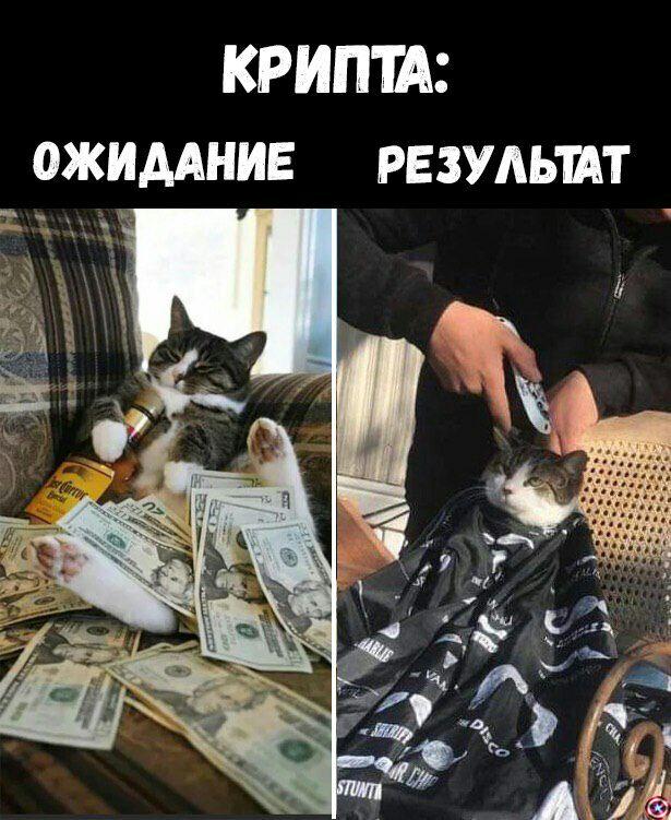 29 февраля: халвинг депозита и битва за биткоин на низах