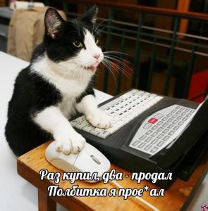 Я не очень умный и мне плохо: исповедь горе-инвестора