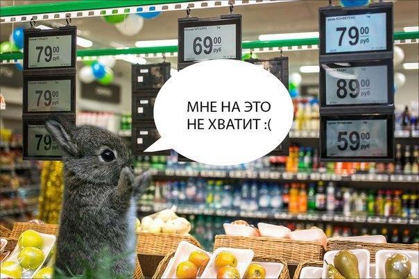 На дне с нефтью, Covid-19 и биткоином: самые вирусные мемы недели