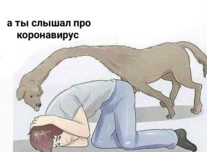 Самоизоляция биткоина от коронавирусного пекла: субботние мемы