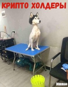 Самоизоляция биткоина от коронавирусного пекла: субботние мемы