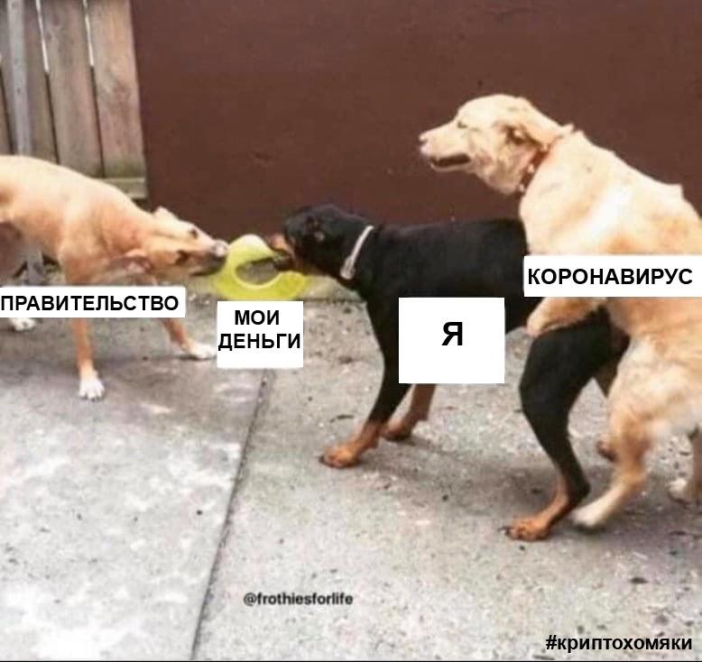 Останься дома: смотри, какие мемы про биткоин и не только!