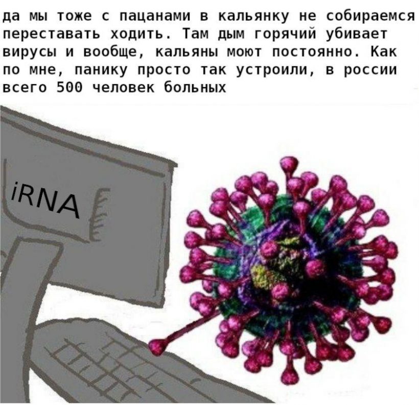 Останься дома: смотри, какие мемы про биткоин и не только!