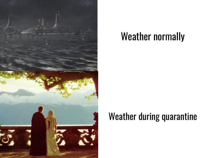 Останься дома: смотри, какие мемы про биткоин и не только!