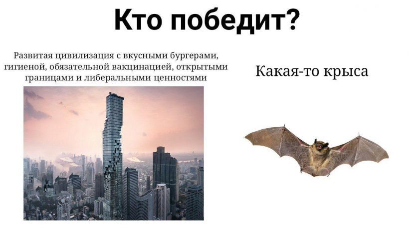 Останься дома: смотри, какие мемы про биткоин и не только!