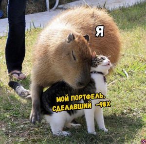 Самоизоляция и ликвидация: хроники жизни биткоин-трейдера