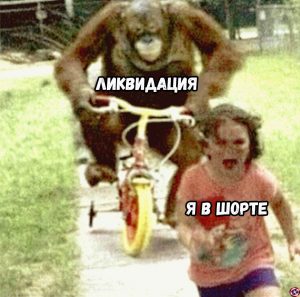 Самоизоляция и ликвидация: хроники жизни биткоин-трейдера